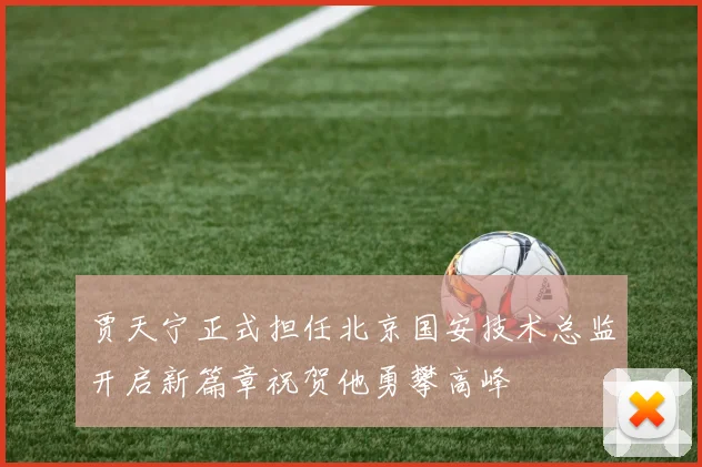 贾天宁正式担任北京国安技术总监开启新篇章祝贺他勇攀高峰