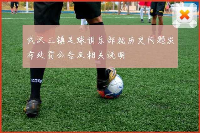 武汉三镇足球俱乐部就历史问题发布处罚公告及相关说明