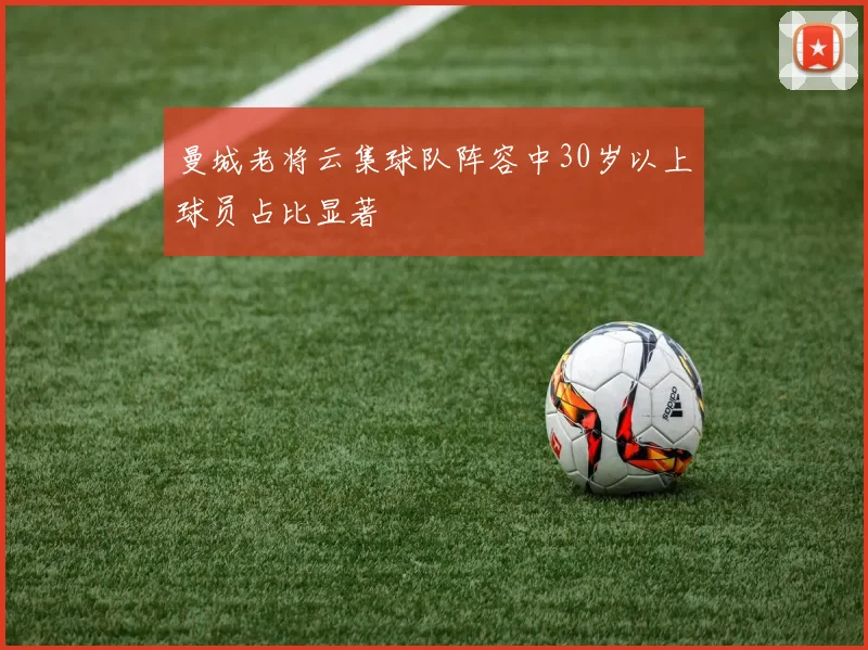 曼城老将云集球队阵容中30岁以上球员占比显著