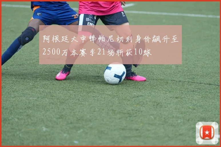 阿根廷大中锋帕尼切利身价飙升至2500万本赛季21场斩获10球