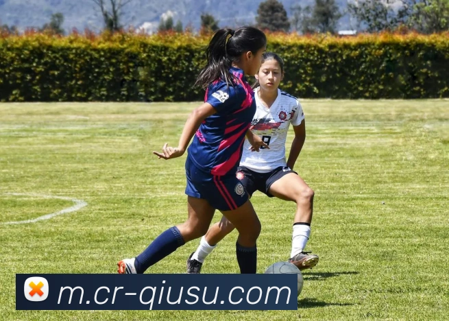 球速体育发展历程